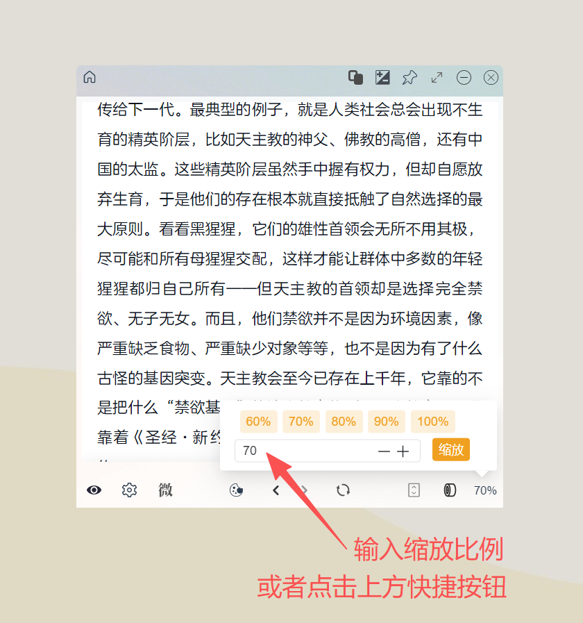 输入或选择网页缩放比例